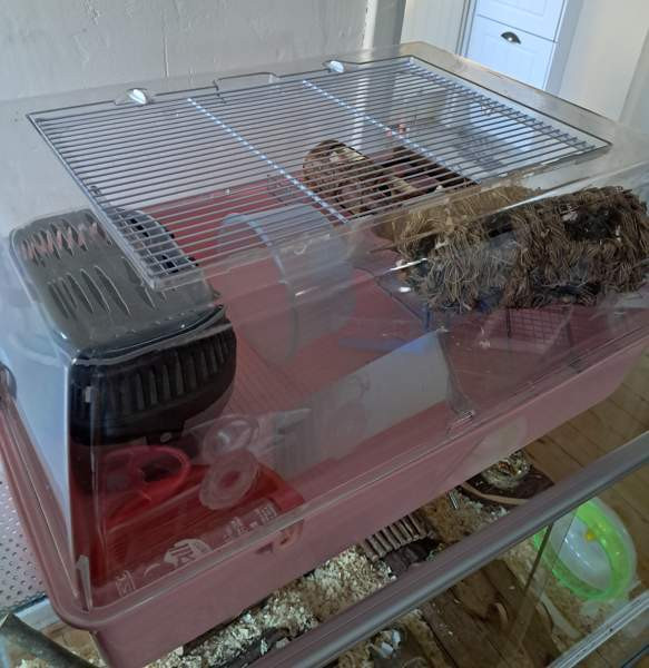 Häkki Нокиа - изображение 2