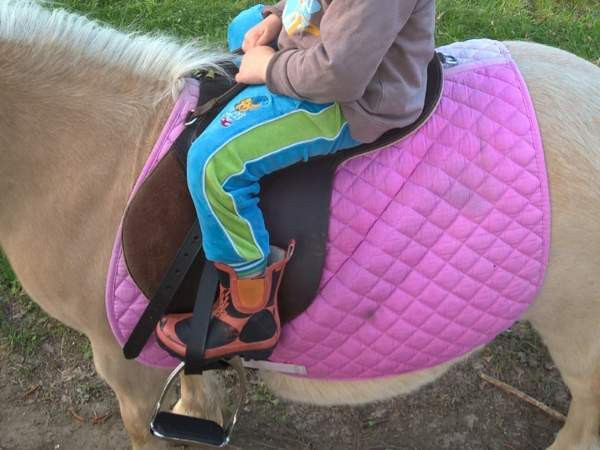 Ponisatula Янаккала - изображение 2