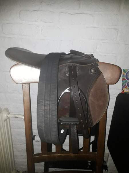 Ponisatula Янаккала - изображение 1