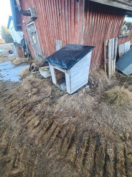 Koirankoppi Tyrnävä - valokuva 2