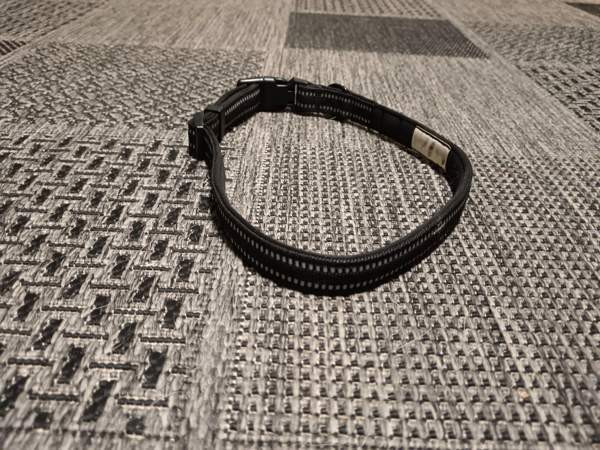 kaulapanta isolle koiralle Валкеакоски - изображение 1