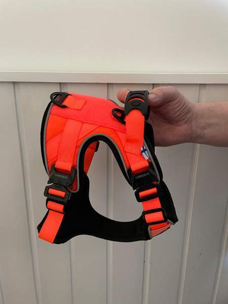 Koiran valjaat Jyväskylä - valokuva 4