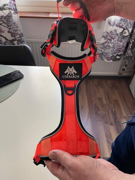 Koiran valjaat Jyväskylä - valokuva 2