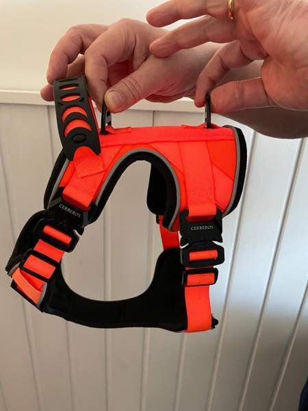 Koiran valjaat Jyväskylä - valokuva 3