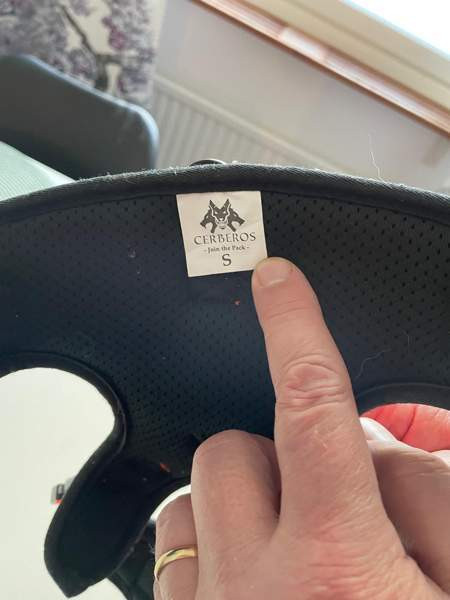 Koiran valjaat Jyväskylä - valokuva 1