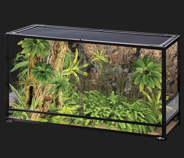 Ostetaan terraario Joensuu - photo 2