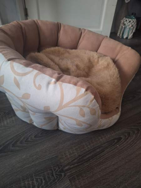 Uniikki käsityönä tehty upea koiranpeti Хямеэнлинна - изображение 1