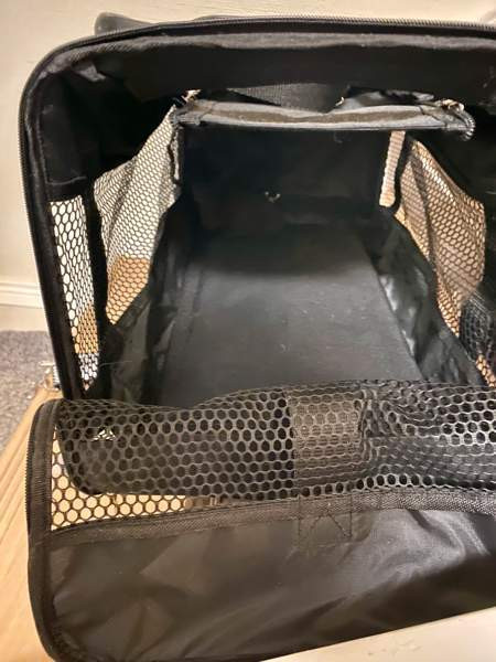 Pienen koira kantokassi Vantaa - photo 1