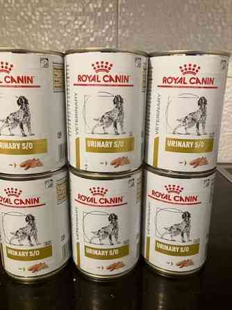 Royal Canin Urinary S/O märkäruoka koiralle 6 prk Эспоо