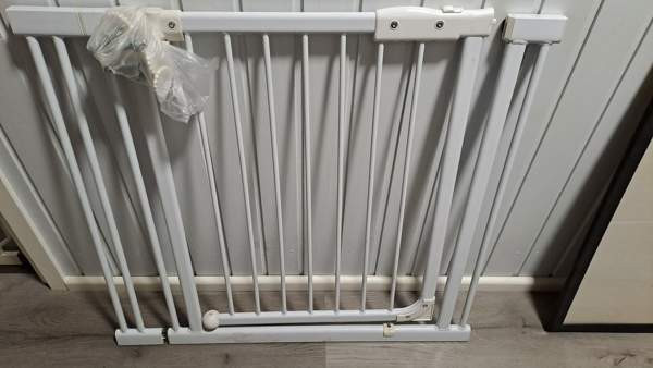 Koiraportti jatkopalalla Pori - valokuva 1