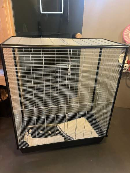 Häkki jyrsijöille Nurmijaervi - photo 4