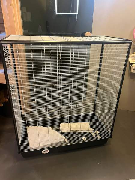 Häkki jyrsijöille Nurmijaervi - photo 2