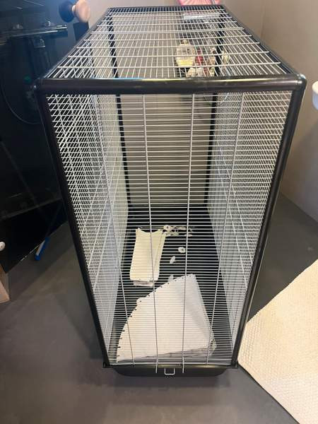 Häkki jyrsijöille Nurmijaervi - photo 3