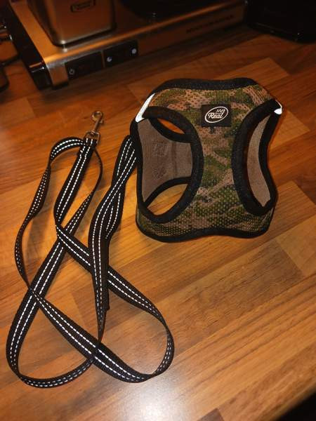 Kissan valjaat ja talutin Lappeenranta - valokuva 1