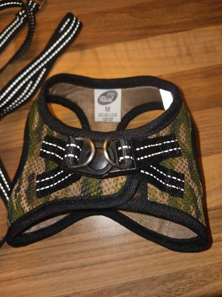 Kissan valjaat ja talutin Lappeenranta - valokuva 2