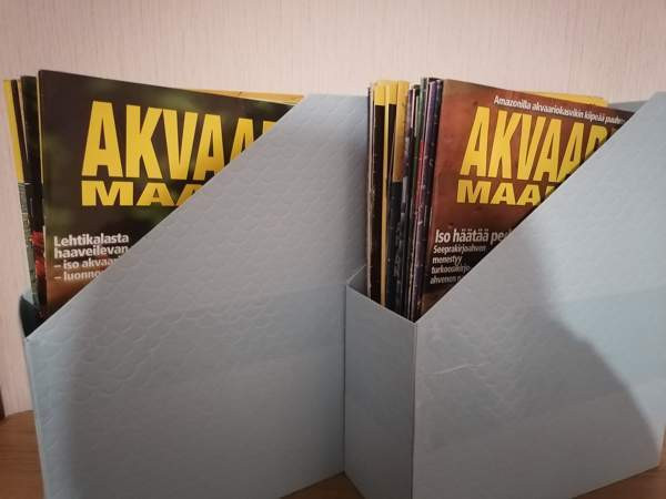 Iso kasa akvaario mailma lehtiä Raisio – foto 5