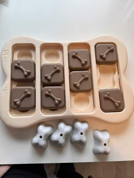 Koiran aktivointipeli Vantaa - valokuva 2