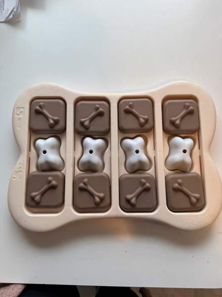 Koiran aktivointipeli Vantaa - valokuva 1