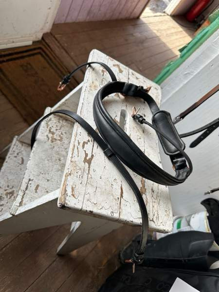 Pehmeää nahkaa turparemmi full/xfull Lohja - valokuva 1