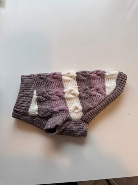 Pienen koiran paita Vantaa – foto 1