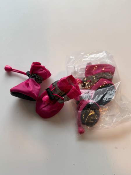 Koiran tossut Vantaa - valokuva 1