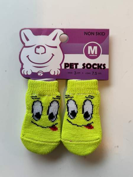 Koiran tossut Vantaa - valokuva 3