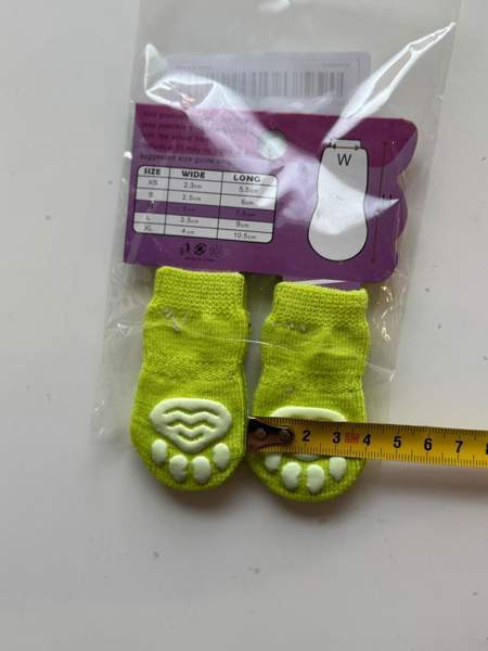 Koiran tossut Vantaa - valokuva 4