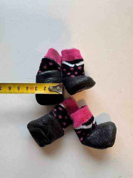 Pienen koiran tossuja Вантаа - изображение 6