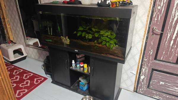 Akvaario 240l Сало - изображение 1