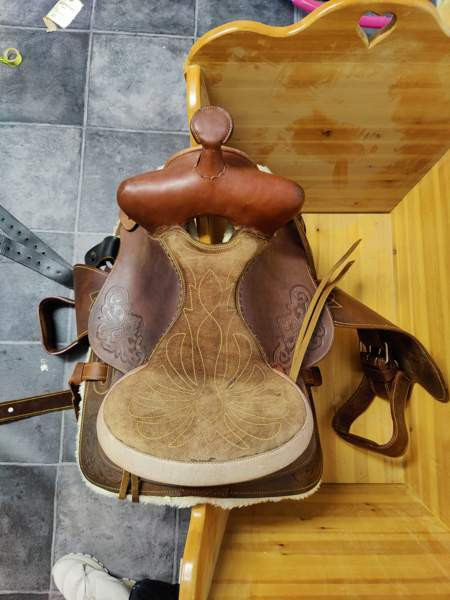 Lännen satula Ylitornio - valokuva 2