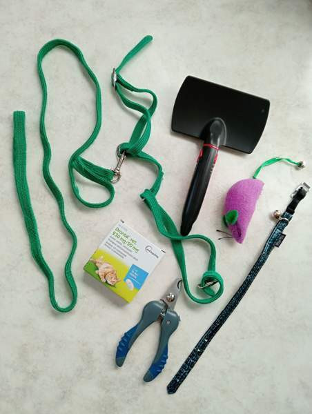 Kissan tarvikkeita Лахти - изображение 1