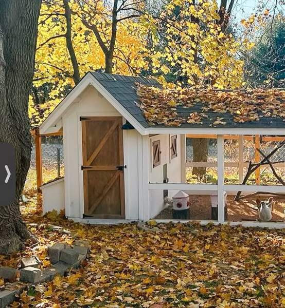 Halutaan ostaa kanalaksi sopiva vajatyyppinen ratkaisu Siilinjärvi - valokuva 1