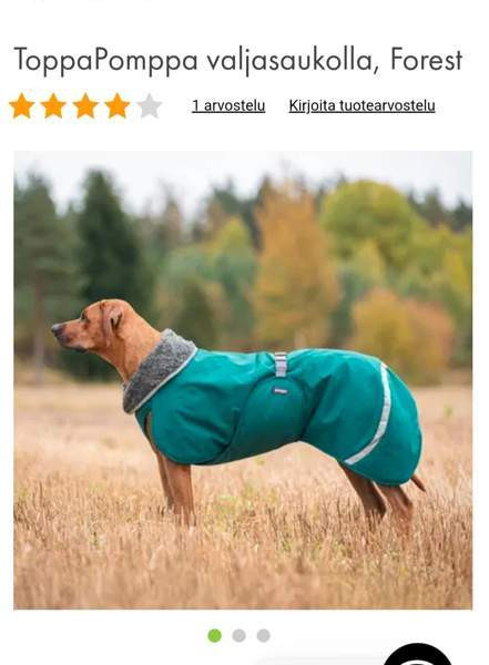 Toppapomppa 65 Hollola - photo 1