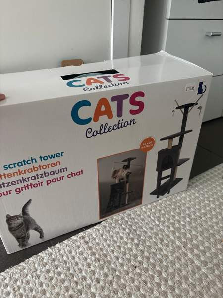 Kissanteline Seinäjoki - valokuva 2