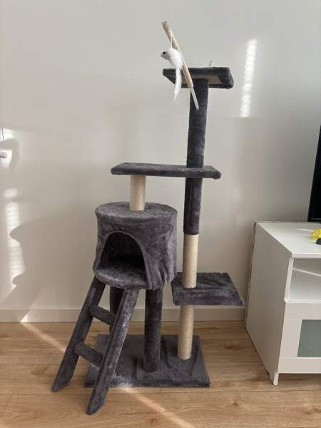 Kissanteline Seinäjoki - valokuva 1