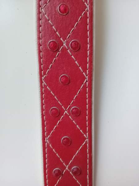 Koiran nahkainen kaulapanta Kerava - valokuva 2