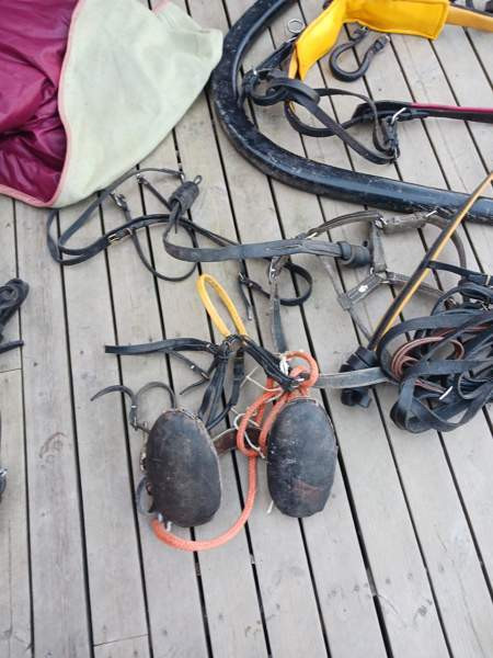 Vanhoja Hevostarvikkeita Kurikka - valokuva 4