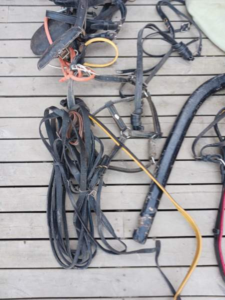 Vanhoja Hevostarvikkeita Kurikka - valokuva 3