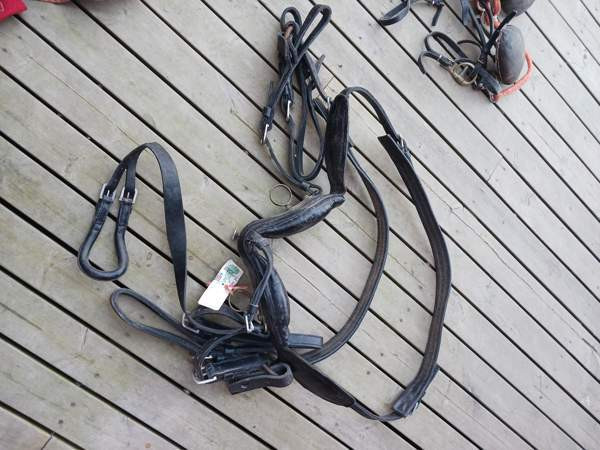 Vanhoja Hevostarvikkeita Kurikka - valokuva 7