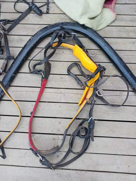 Vanhoja Hevostarvikkeita Kurikka - valokuva 2