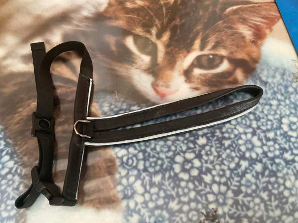 Kissan valjaat Lahti – foto 1