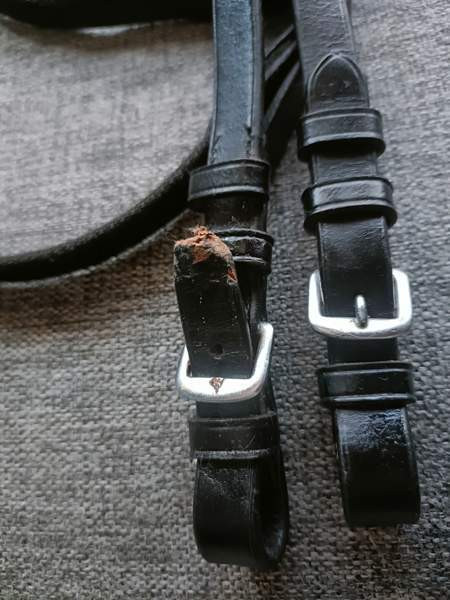 Suitset Pony Joroinen - valokuva 3