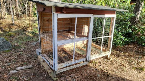 Kaninkoppi Rusko - valokuva 6