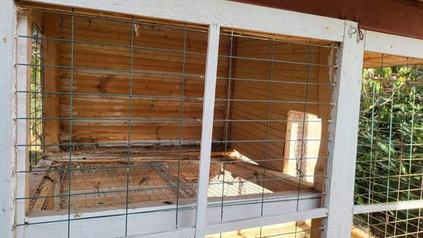 Kaninkoppi Rusko - valokuva 7