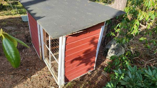 Kaninkoppi Rusko - valokuva 4