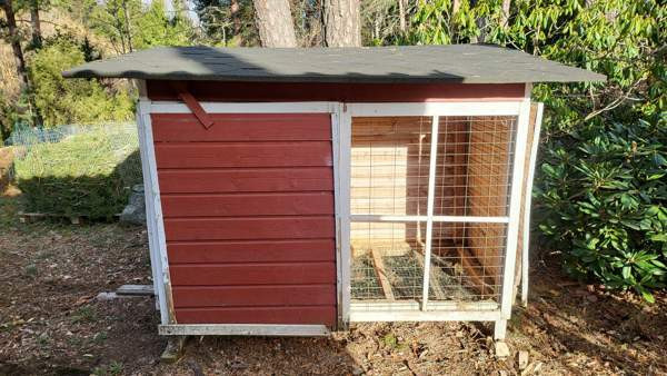 Kaninkoppi Rusko - valokuva 1