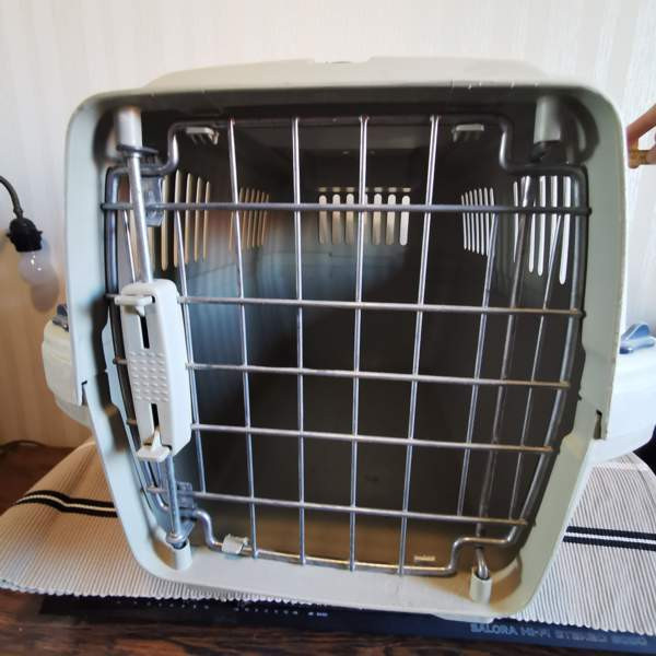 Kantokoppa isolle kissalle Tuusula – foto 1