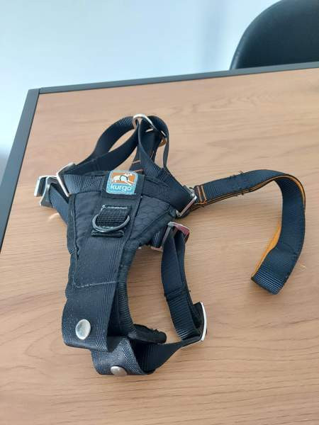 Koiran turvavyö Mikkeli – foto 1