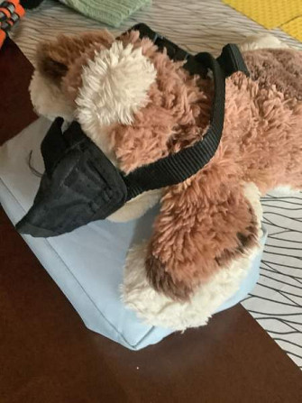 Pehmyt kuonokoppa pikkukoiralle, uudet tossut M koko uudet. Oulu - valokuva 2