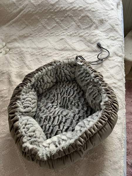 Kissan peti Лахти - изображение 1